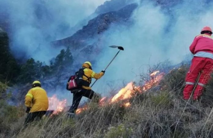 incendios forestales