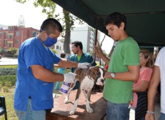 San Isidro lanza campaña veterinaria gratuita para mascotas
