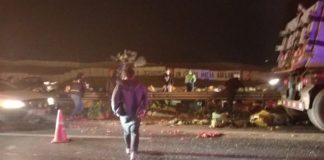 Camión cargado de verduras se volcó en la Panamericana Sur