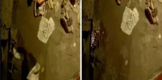 Terror en Comas: comerciante es amenazada con explosivo en su vivienda