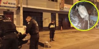 Dejan bomba en local de baterías