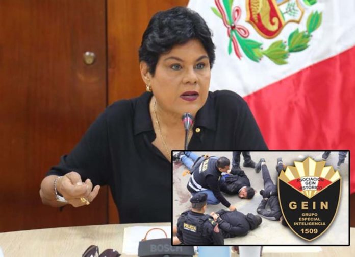 GEIN lucharía contra delincuencia