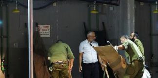 Hezbollah lanzó nuevo ataque contra Israel