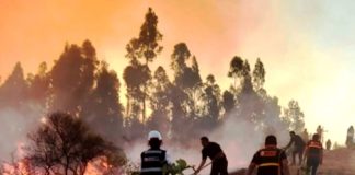Incendios forestales afectan cuatro regiones del país: COEN reporta ocho siniestros activos