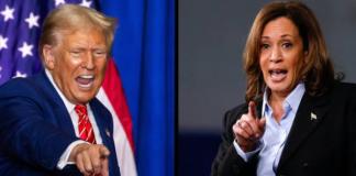 Kamala Harrisy Donald Trump