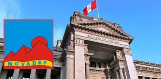 Movimiento por la Amnistía y Derechos Fundamentales (MOVADEF)