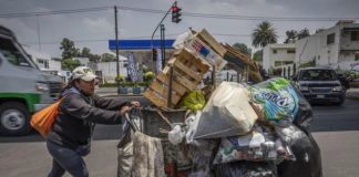 Recicla botellas de plástico y gana dos sueldos mínimos Recicla botellas de plástico