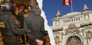Aprueban criminalidad sistemática criminalidad sistemática