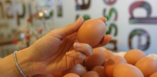 La industria avícola registra pérdidas millonarias por semana