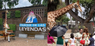 Entradas gratuitas al Parque de las Leyendas: beneficios y novedades hasta fin de año