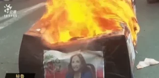 Protestas contra Boluarte eclipsan la APEC 2024