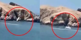 Avioneta cae en San Bartolo