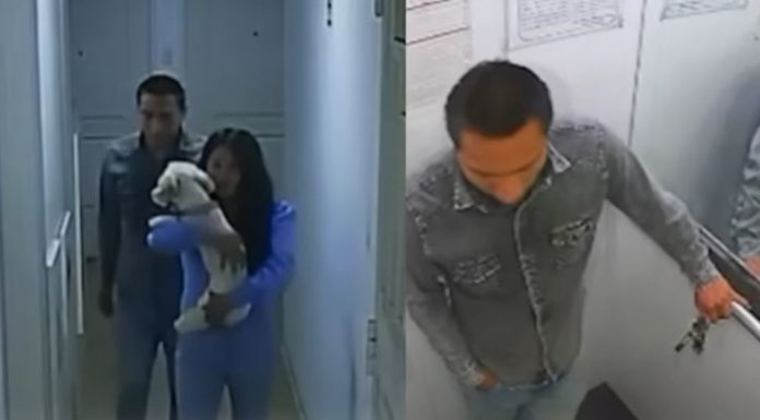 Darwin Marx Condori Antezana