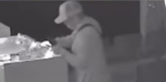 Desactiva alarma y roba S15 mil en celulares