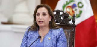 Dina Boluarte: Decreto favorece lo informal y lo ilegal