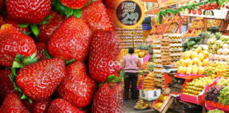 Fresas en Lima y Callao: Pesticidas superan límites permitidos y preocupan a consumidores