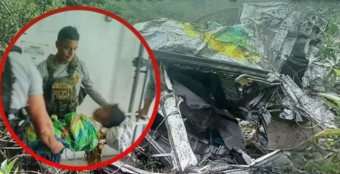 Minivan cae a precipicio y solo sobrevive un niño Minivan cae a precipicio y solo sobrevive un niño