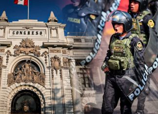 No serán detenidos si usan armas de fuego No serán detenidos si usan armas de fuego