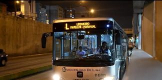 Servicio "Lechucero" tendrá cuatro nuevas paradas