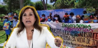 Medida criminalizaria a defensores del medio ambiente