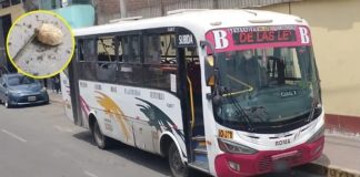 Mujer termina con heridas en el vientre tras impacto de roca