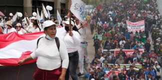 Paro nacional de transportistas coincide con el Foro APEC 2024