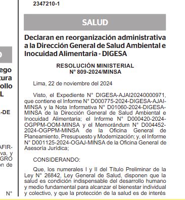 resolución ministerial N° 809-2024-MINSA
