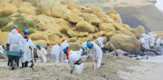 Derrame de petróleo en Lobitos pone en peligro la biodiversidad marina