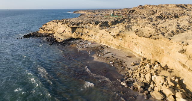 Petroperú intensifica limpieza en Las Capullanas tras derrame de hidrocarburos Petroperú intensifica limpieza en Las Capullanas tras derrame de hidrocarburos