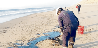 Derrame de petróleo en Talara genera alerta en la Reserva Nacional Mar Tropical de Grau