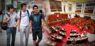 ¿Qué profesiones se acogerían a la ley de colegiatura obligatoria en Perú?