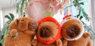 Controversia por registro de "Capibara" como marca en Perú