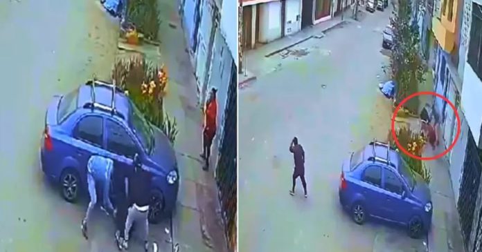 Les roban plata de fiesta de promo