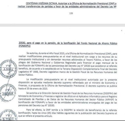 Ley de presupuesto del sector publico para el año 2025 -2