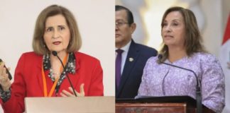 TC decidirá causales para investigar a Dina