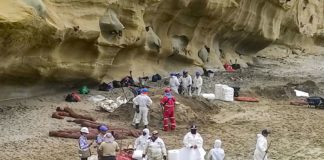 Gobierno declara emergencia ambiental en Talara tras derrame de petróleo Gobierno declara emergencia ambiental en Talara tras derrame de petróleo