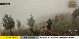 Apurimac: Combi se despistó y cayó hacia un abismo