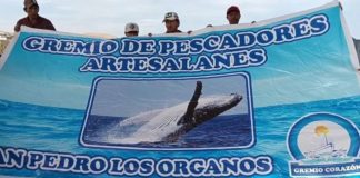 Balneario de Máncora desapareció debido al oleaje anómalo