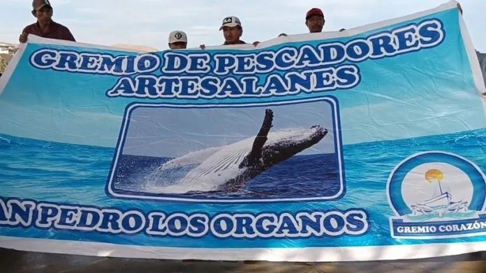 Balneario de Máncora desapareció debido al oleaje anómalo