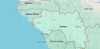 Tragedia en Guinea: estampida en partido de fútbol deja al menos 56 muertos