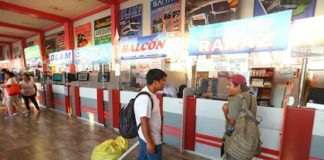 Fin de semana largo del 6 al 9 de diciembre: descanso, turismo y conmemoraciones