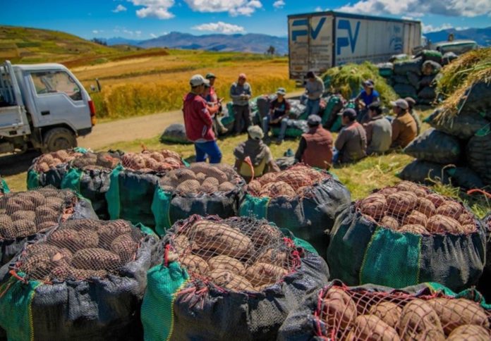 Encuesta CPI: el 26.6 % de los peruanos espera un 2025 con una situación económica y social peor