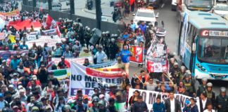 Violencia persiste: transportistas preparan masiva protesta para febrero Violencia persiste: transportistas preparan masiva protesta para febrero