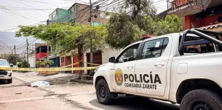 Policía dispara y mata a perro en San Juan de Lurigancho: investigan el caso