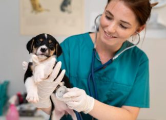 Cómo desparasitar a tu perro