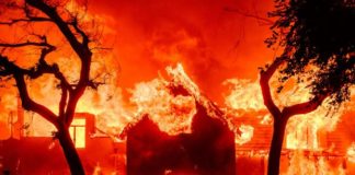 Famosos huyen tras incendios en Los Ángeles