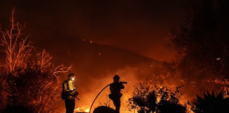 Presos ayudan contra incendios en California