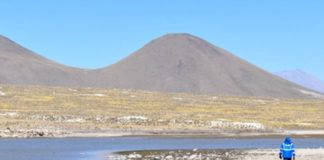 Arequipa: Corte escalonado de agua en el Sistema Colca-Siguas del 27 al 31 de enero