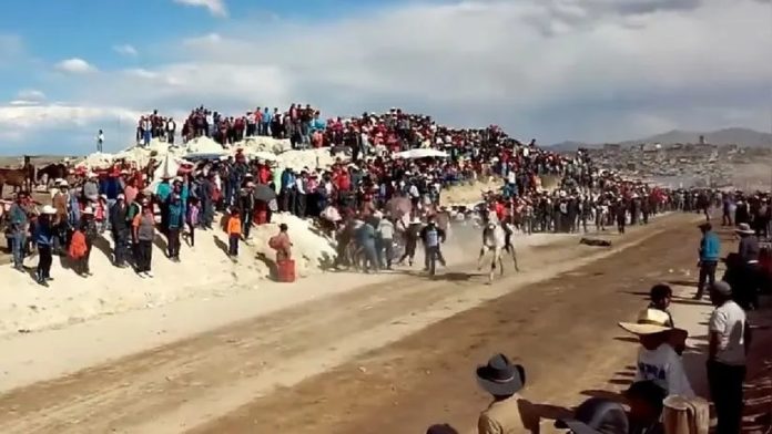 Cusco: Joven falleció tras ser arrollado por un caballo