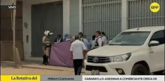 Carabayllo: Sicarios asesinan a comerciante